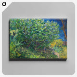 2-42_Vincent-van-Gogh_canvas
