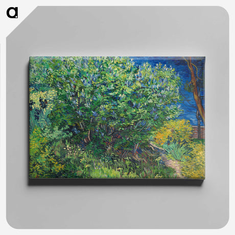 2-42_Vincent-van-Gogh_canvas
