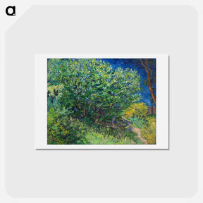 アートポストカード-Lilac Bush - フィンセント ファン ゴッホ Postcard.