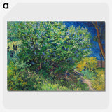 2-42_Vincent-van-Gogh_picture-crop
