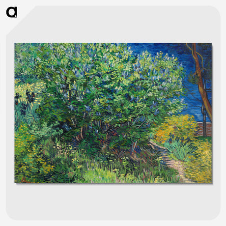 2-42_Vincent-van-Gogh_picture-crop