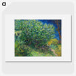 2-42_Vincent-van-Gogh_picture