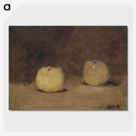 2-42_Yale-University-Art-Gallery_picture-crop