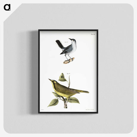 2-42_Zoology-of-New-York_blk-crop