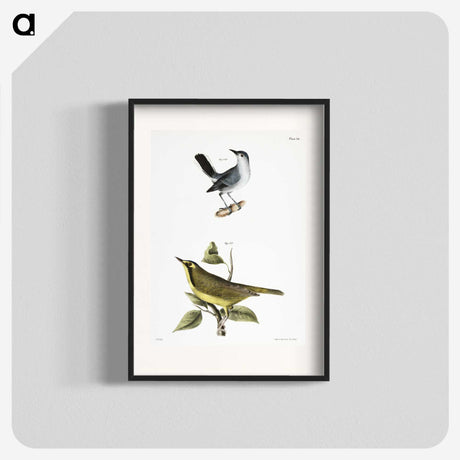 2-42_Zoology-of-New-York_blk
