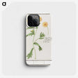 2-43_Anselmus-Boetius-de-Boodt_phone