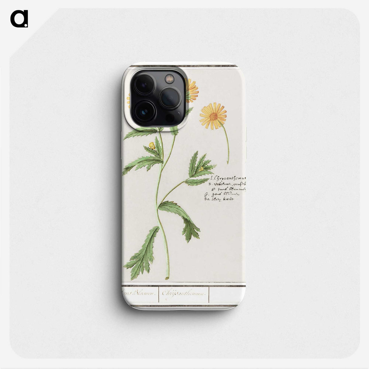 2-43_Anselmus-Boetius-de-Boodt_phone