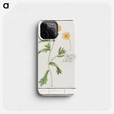 2-43_Anselmus-Boetius-de-Boodt_phone