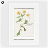 2-43_Anselmus-Boetius-de-Boodt_picture