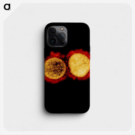2-43_COVID-19_phone