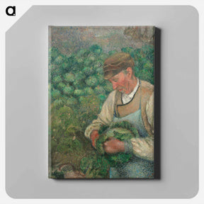 アートパネル-The Gardener - Old Peasant with Cabbage - カミーユ ピサロ Canvas.