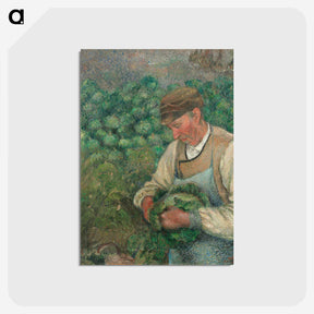 2-43_Camille-Pissarro_postcard