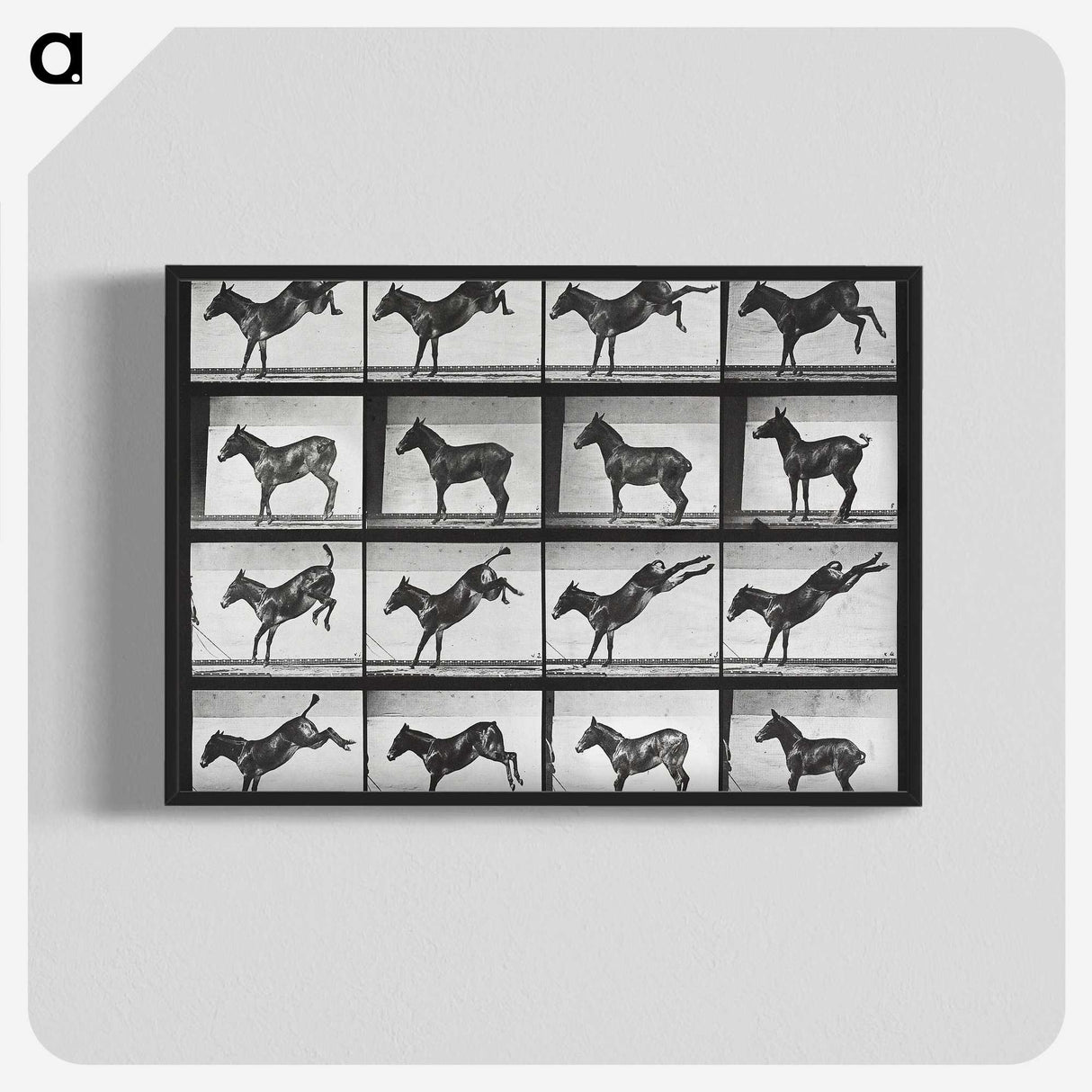2-43_Eadweard-Muybridge_blk-crop
