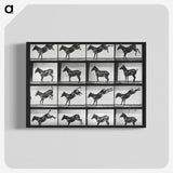 2-43_Eadweard-Muybridge_blk-crop
