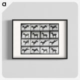 2-43_Eadweard-Muybridge_blk
