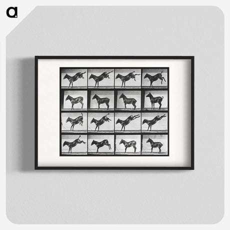 2-43_Eadweard-Muybridge_blk