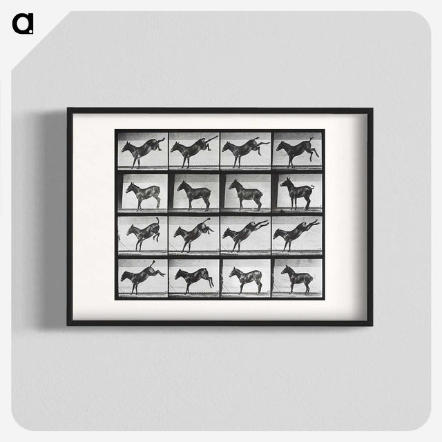 2-43_Eadweard-Muybridge_blk