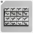 2-43_Eadweard-Muybridge_canvas