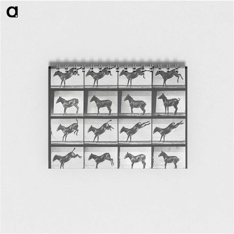 2-43_Eadweard-Muybridge_memo