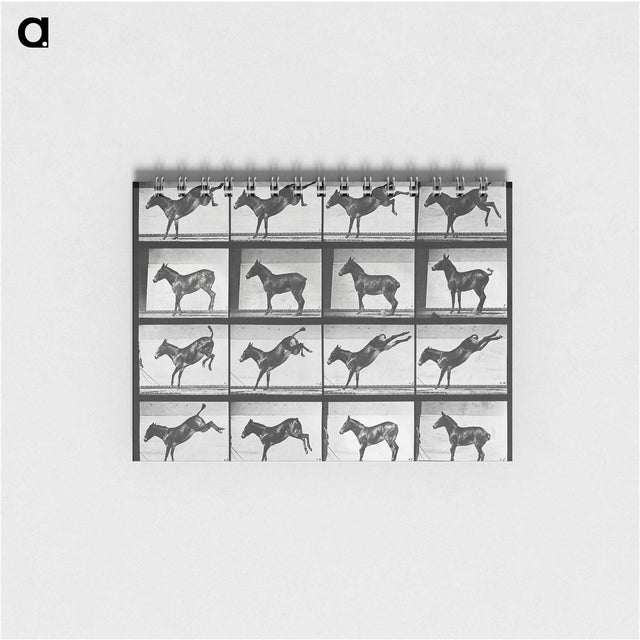 2-43_Eadweard-Muybridge_memo