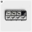 2-43_Eadweard-Muybridge_phone