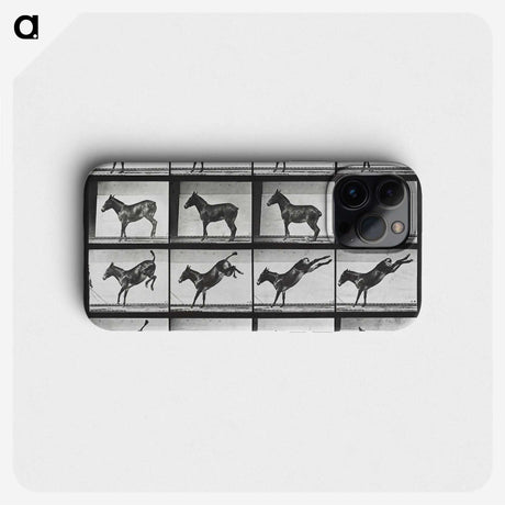 2-43_Eadweard-Muybridge_phone