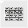 2-43_Eadweard-Muybridge_postcard