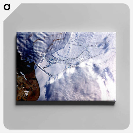 アートパネル-Wilkins Ice Shelf, Antarctic Peninsula
 - 上空からの地球 Canvas.