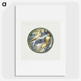 2-43_Edward-Burne-Jones_picture