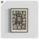 2-43_Ernst-Haeckel_blk-crop