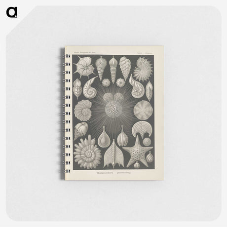 2-43_Ernst-Haeckel_memo