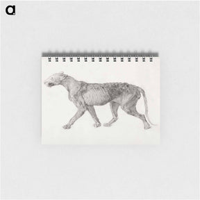 アートメモ帳-Tiger Body, Lateral View
 - ジョージ スタッブス Memo.