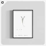 2-43_Histoire-des-Plantes-Grasses_blk-crop