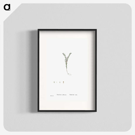 2-43_Histoire-des-Plantes-Grasses_blk