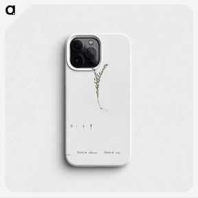 2-43_Histoire-des-Plantes-Grasses_phone