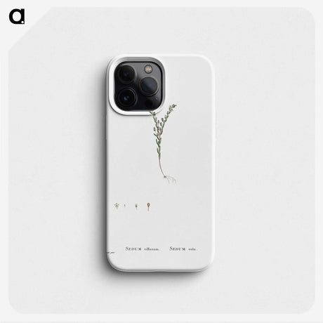 2-43_Histoire-des-Plantes-Grasses_phone