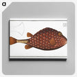 2-43_Ichtyologie-ou-Histoire-naturelle_canvas