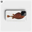 2-43_Ichtyologie-ou-Histoire-naturelle_phone
