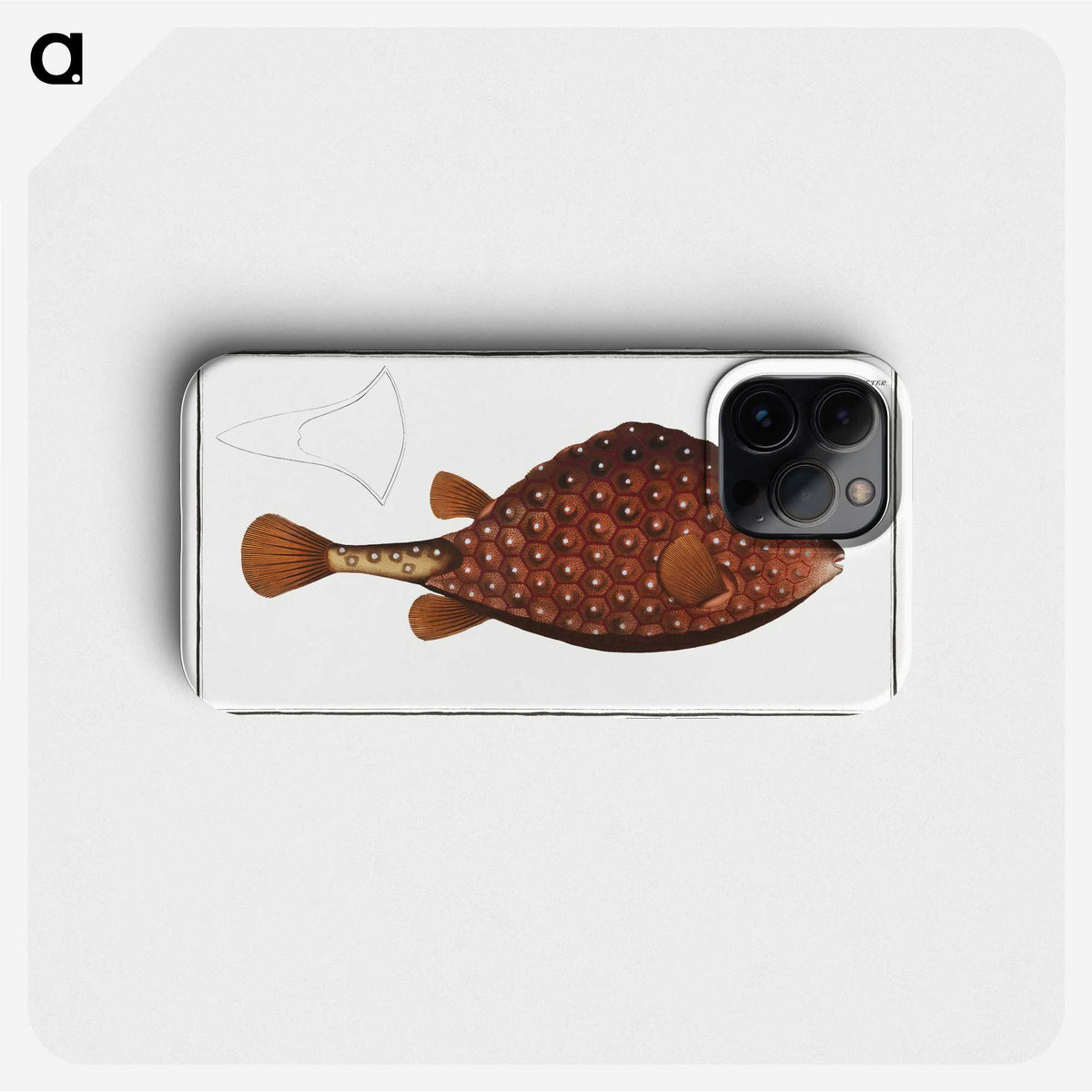 2-43_Ichtyologie-ou-Histoire-naturelle_phone