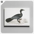 2-43_Indian-Zoology_canvas