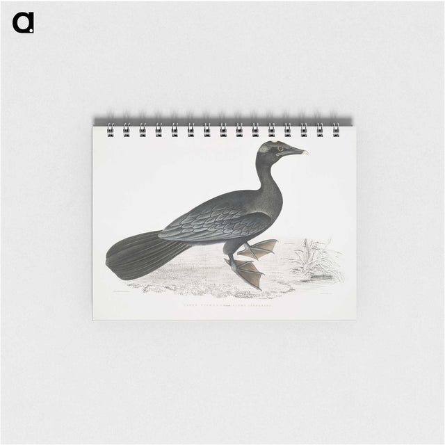 2-43_Indian-Zoology_memo