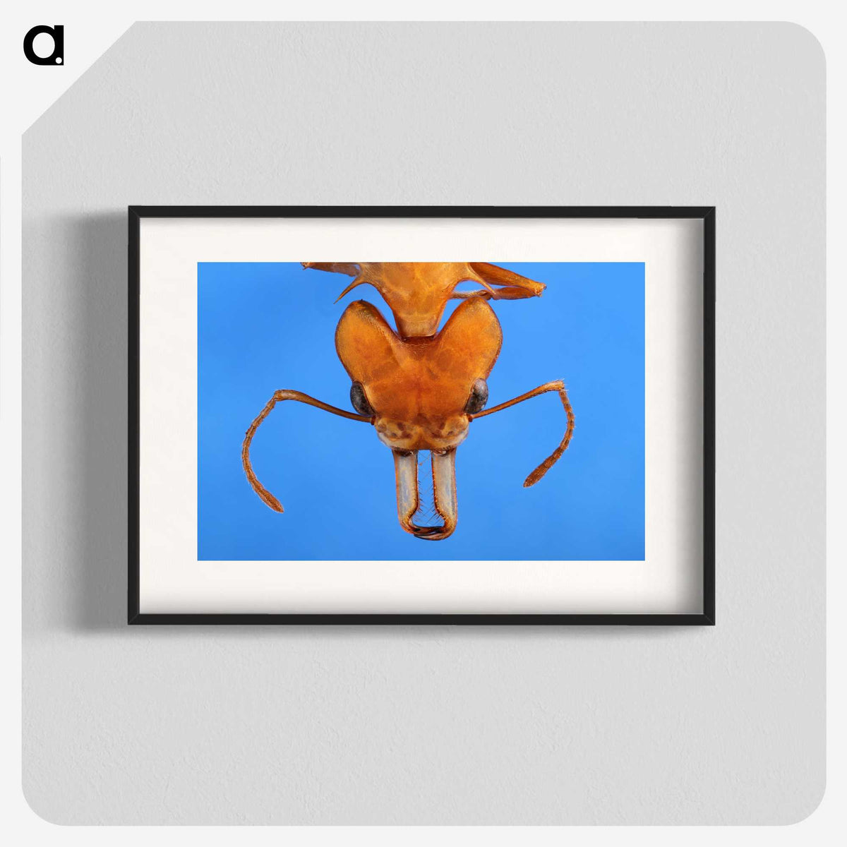 2-43_Insects-Unlocked-Project_blk