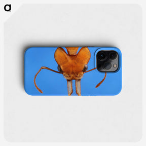 2-43_Insects-Unlocked-Project_phone