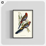 2-43_John-Gould_blk-crop