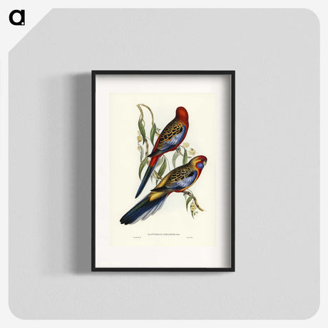 2-43_John-Gould_blk