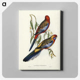 2-43_John-Gould_canvas