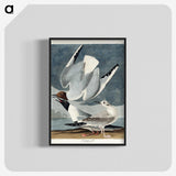2-43_John-James-Audubon_blk-crop