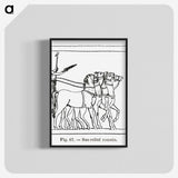 2-43_Les-Palmiers-Histoire-Iconographique_blk-crop