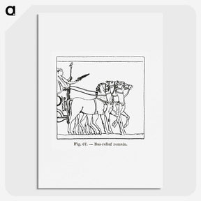 2-43_Les-Palmiers-Histoire-Iconographique_picture