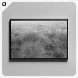 2-43_Marion-Post-Wolcott_canvas